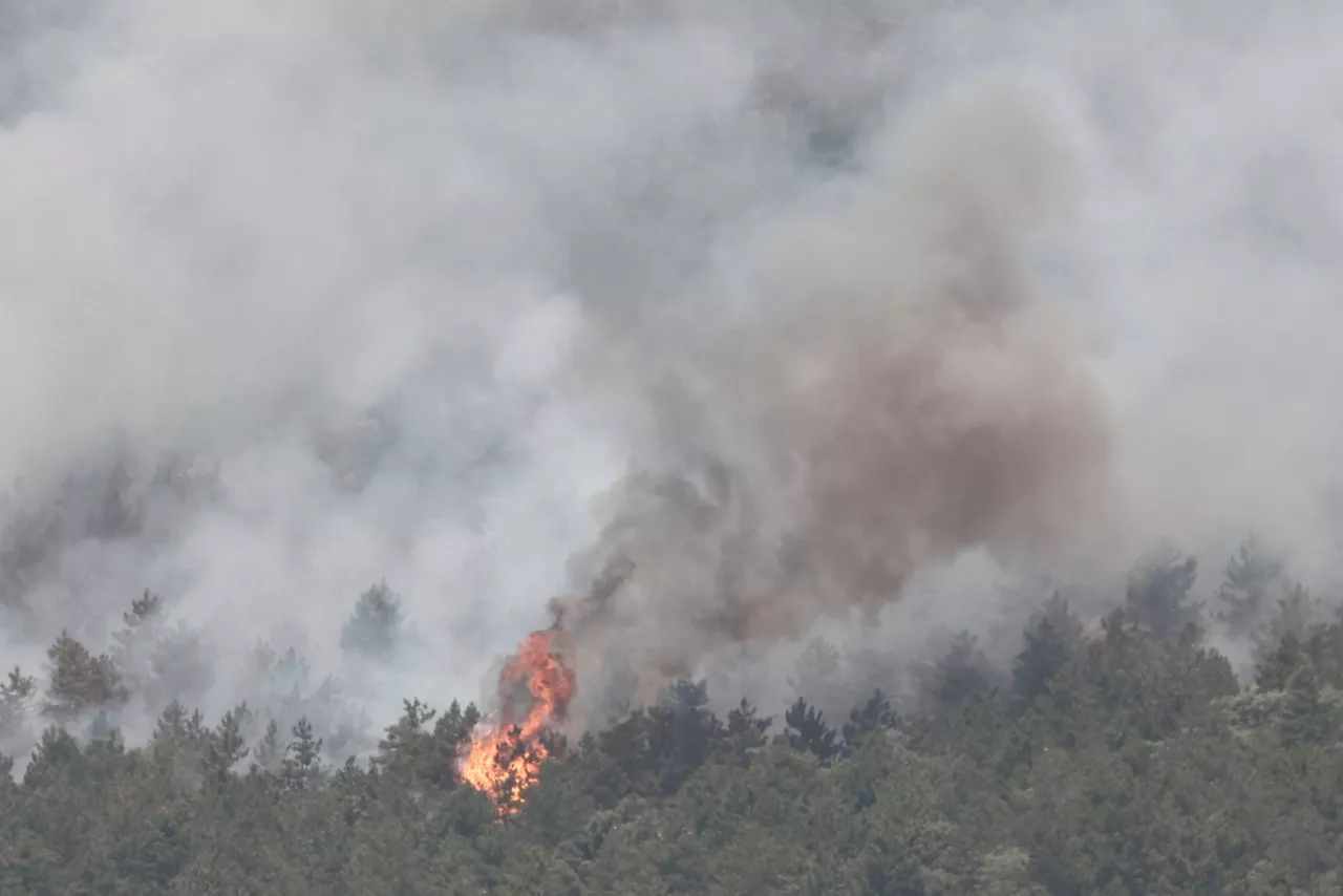 Incendio en la Sierra de Leire. Foto: EFE