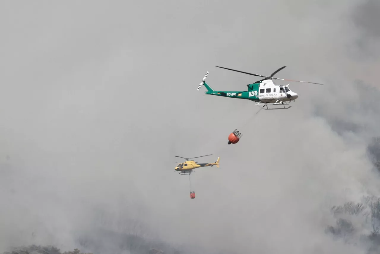 Incendio en la Sierra de Leire. Foto: EFE