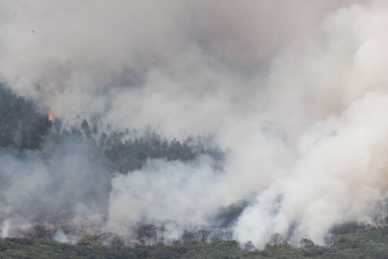 Incendio en la Sierra de Leire. Foto: EFE