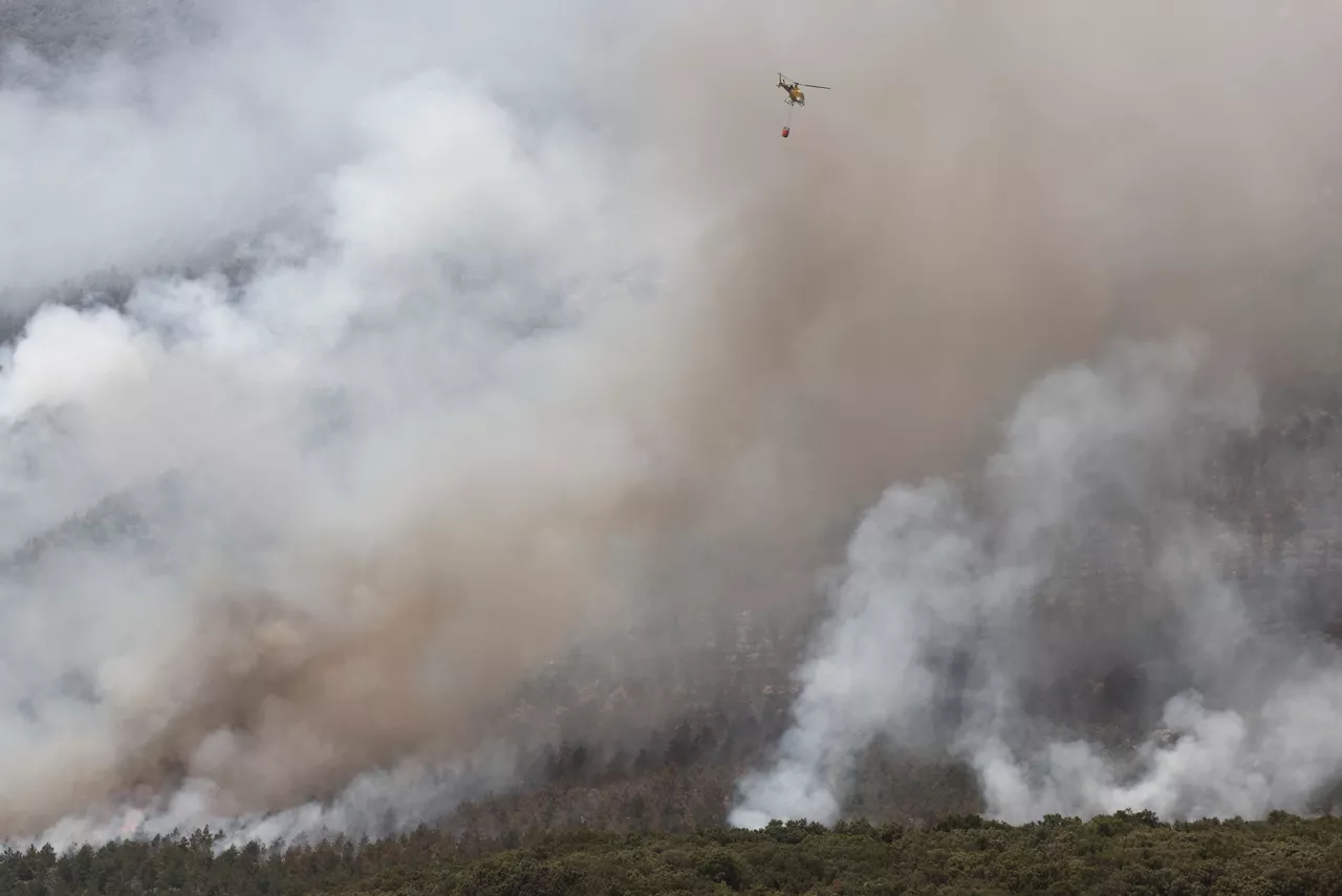 Incendio en la Sierra de Leire. Foto: EFE