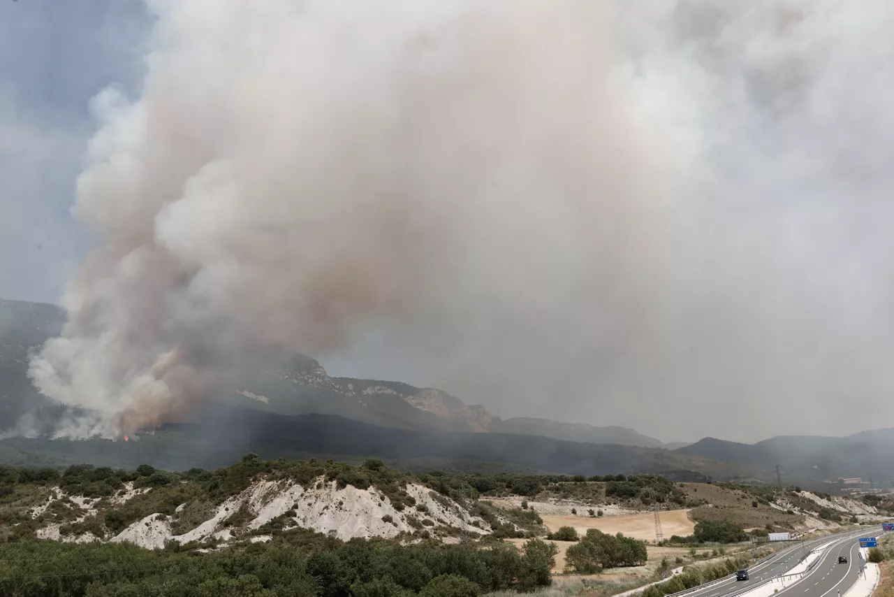 Incendio en la Sierra de Leire. Foto: EFE