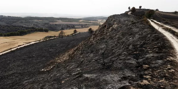 Tafallan suak kiskalitako zonaldea. Argazkia: EFE
