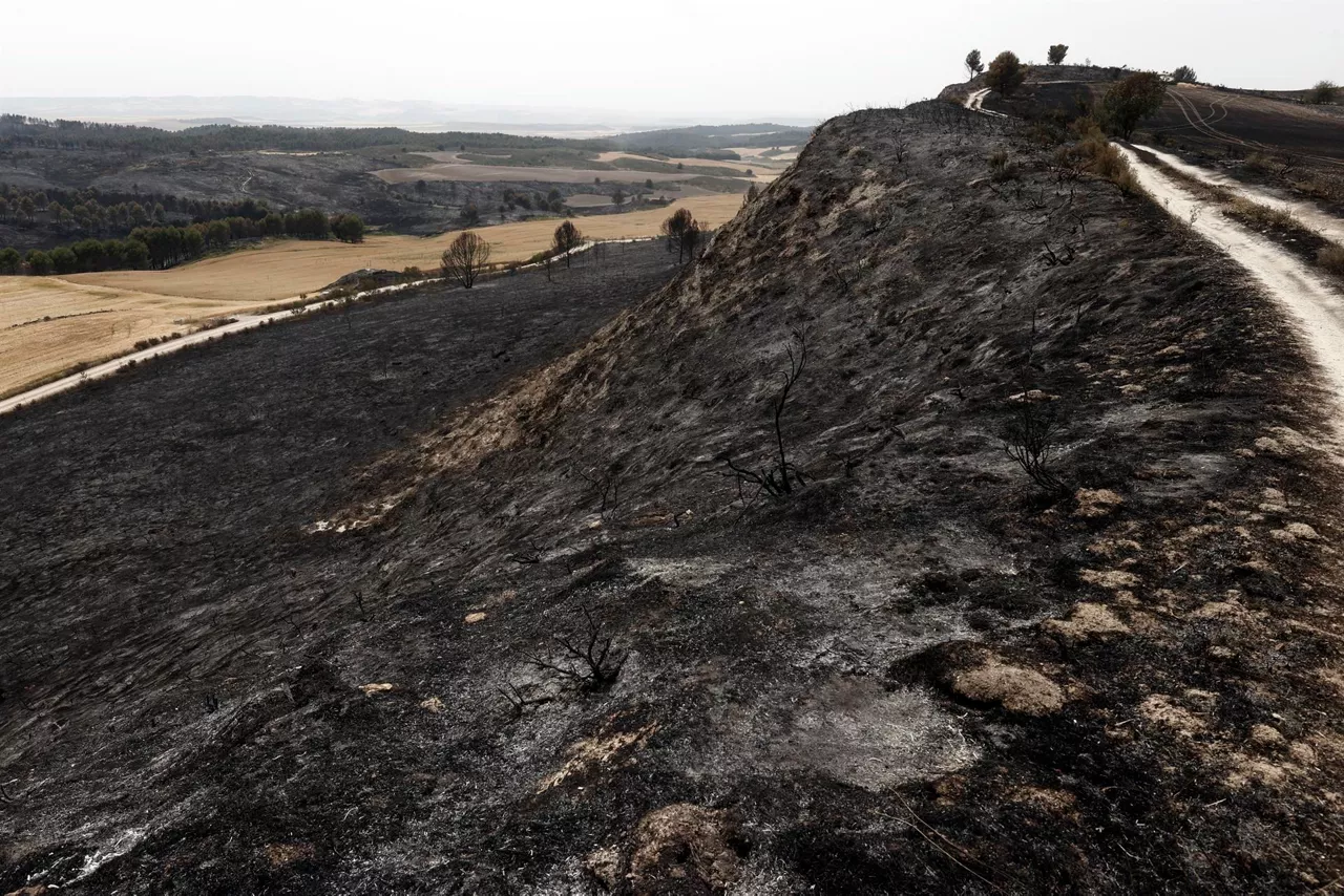 La zona de Tafalla calcinada por el fuego. Foto: EFE