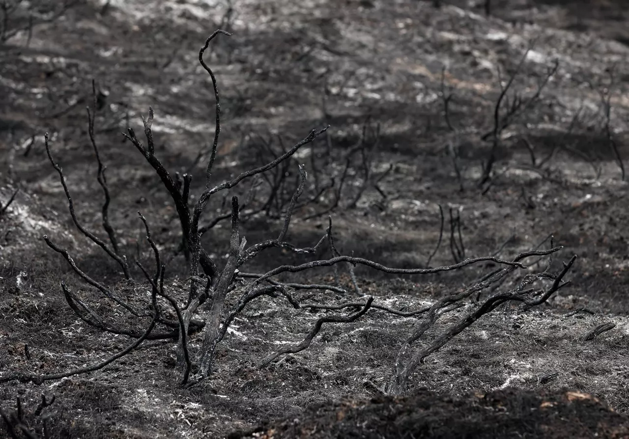 La zona afectada por el fuego en Tafalla. Foto: EFE