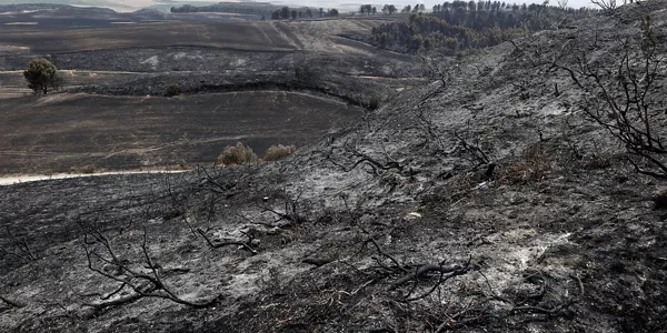 Tafallan suak kiskalitako zonaldea. Argazkia: EFE