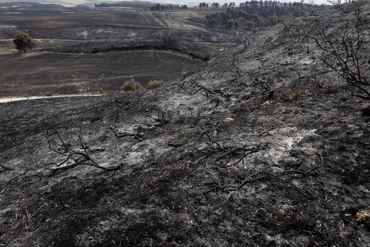 La zona afectada por el fuego en Tafalla. Foto: EFE