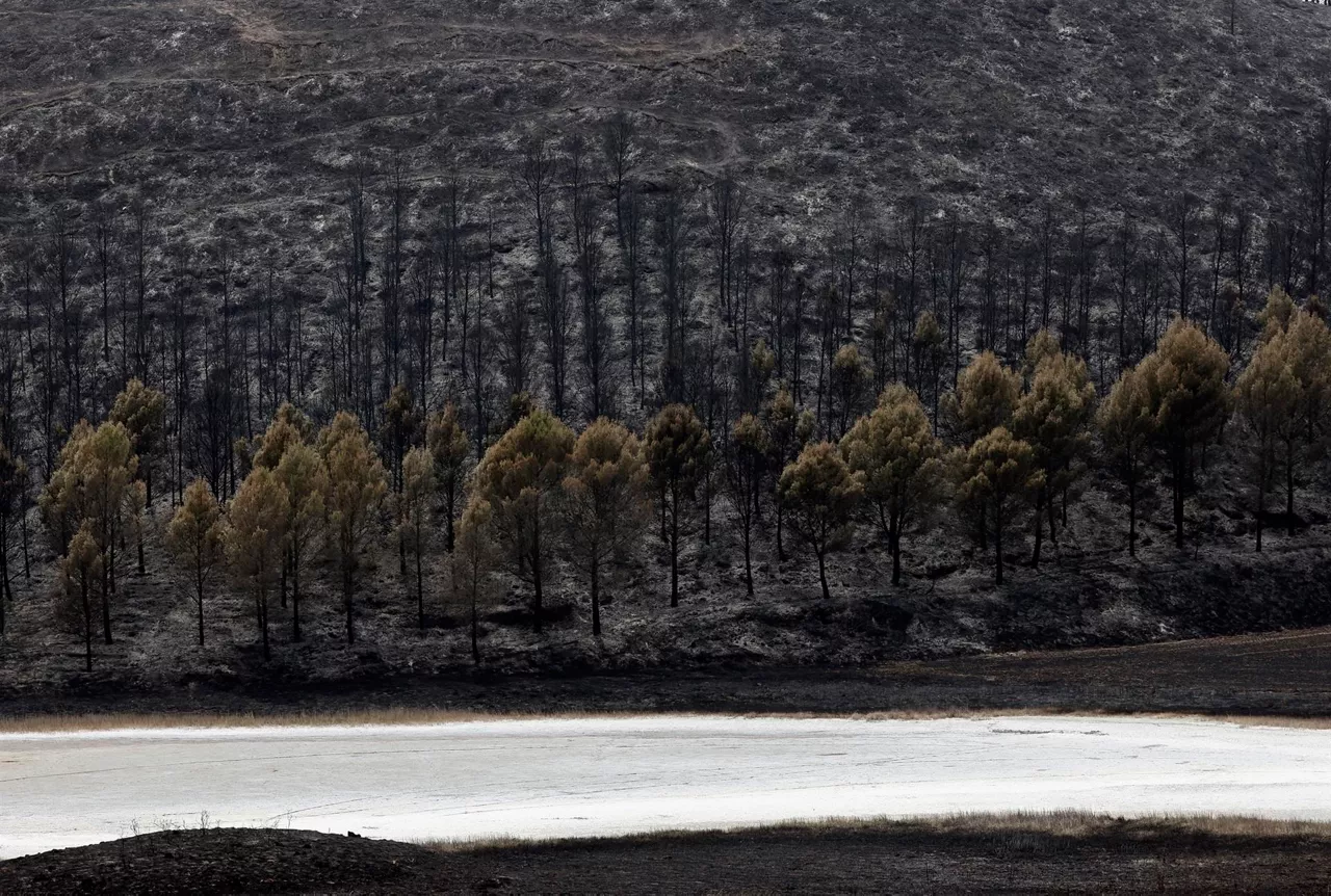 La zona afectada por el fuego en Tafalla. Foto: EFE