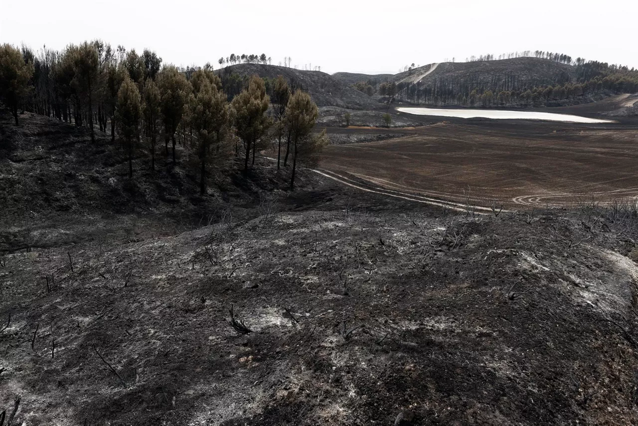 La zona afectada por el fuego en Tafalla. Foto: EFE