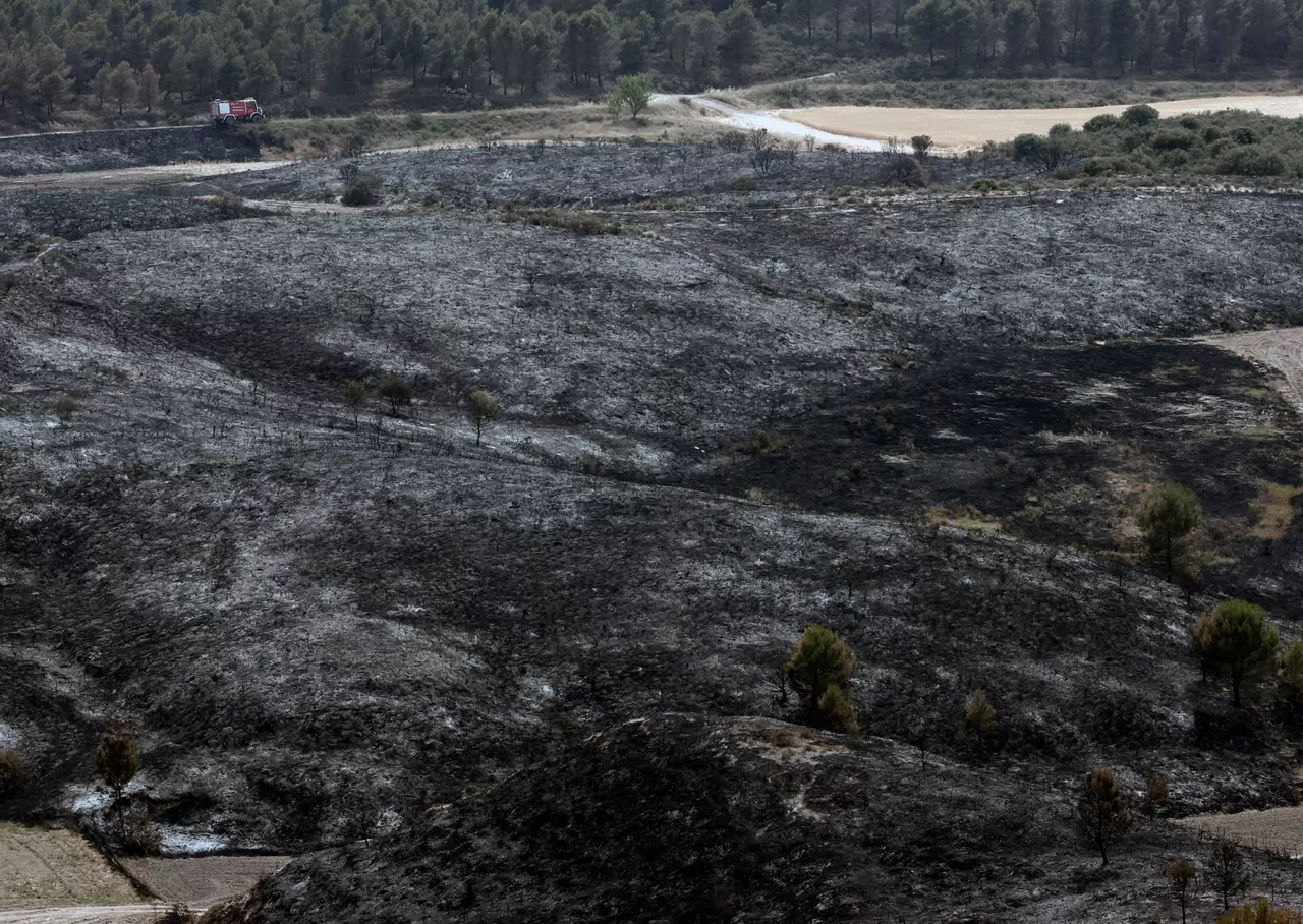 La zona afectada por el fuego en Tafalla. Foto: EFE