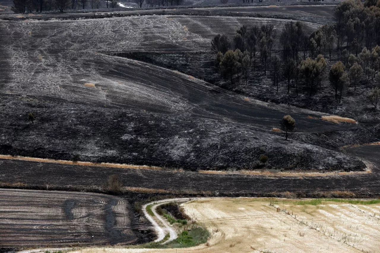 La zona afectada por el fuego en Tafalla. Foto: EFE