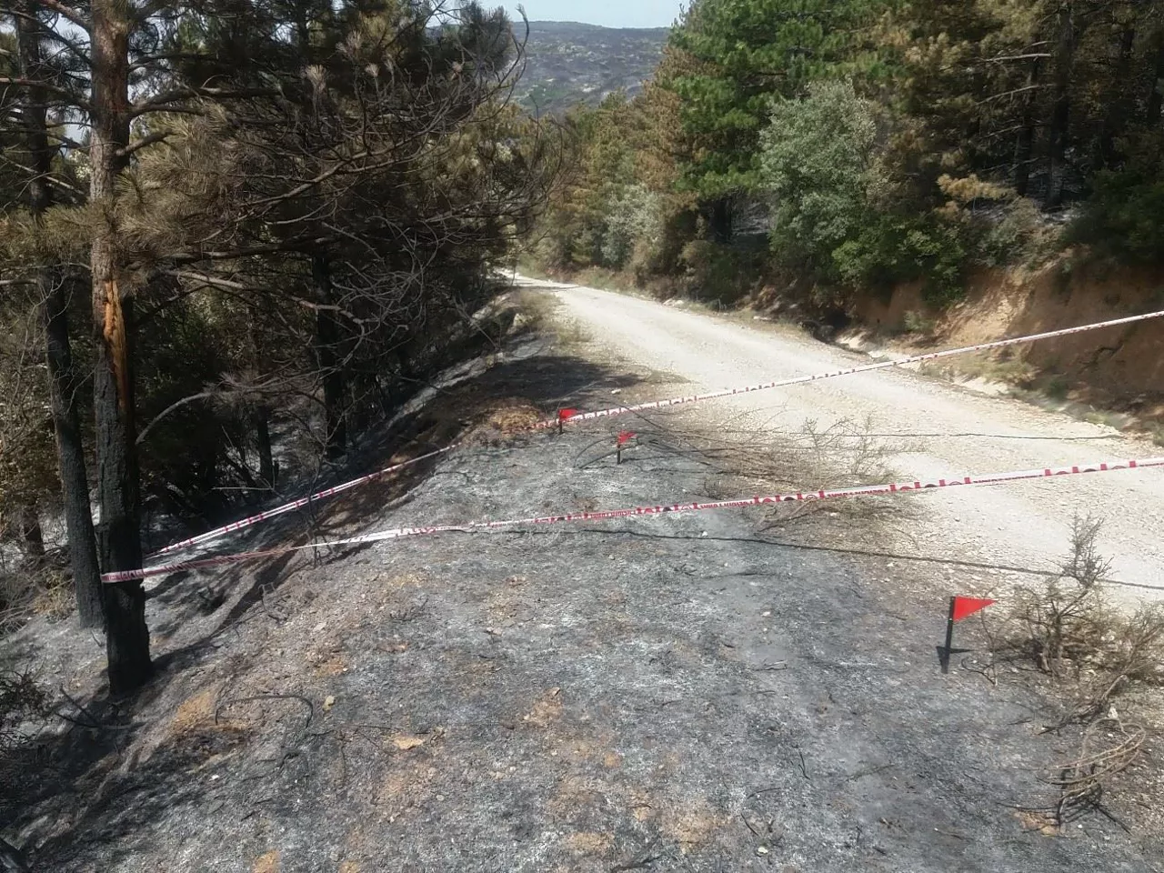 Incendio en la sierra de Leire