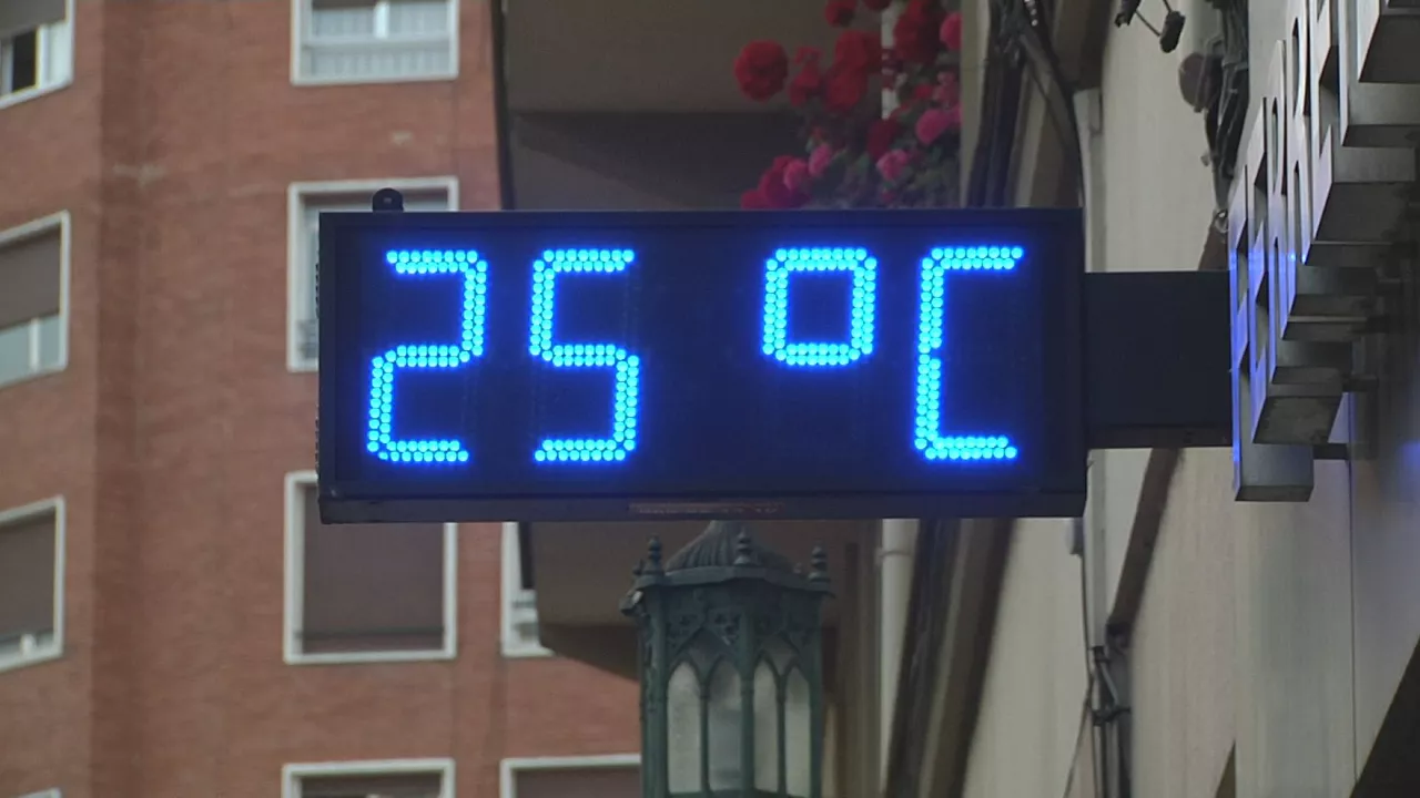 20220617095452_beroa-gasteiz_