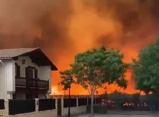 muruzabal sutea incendio