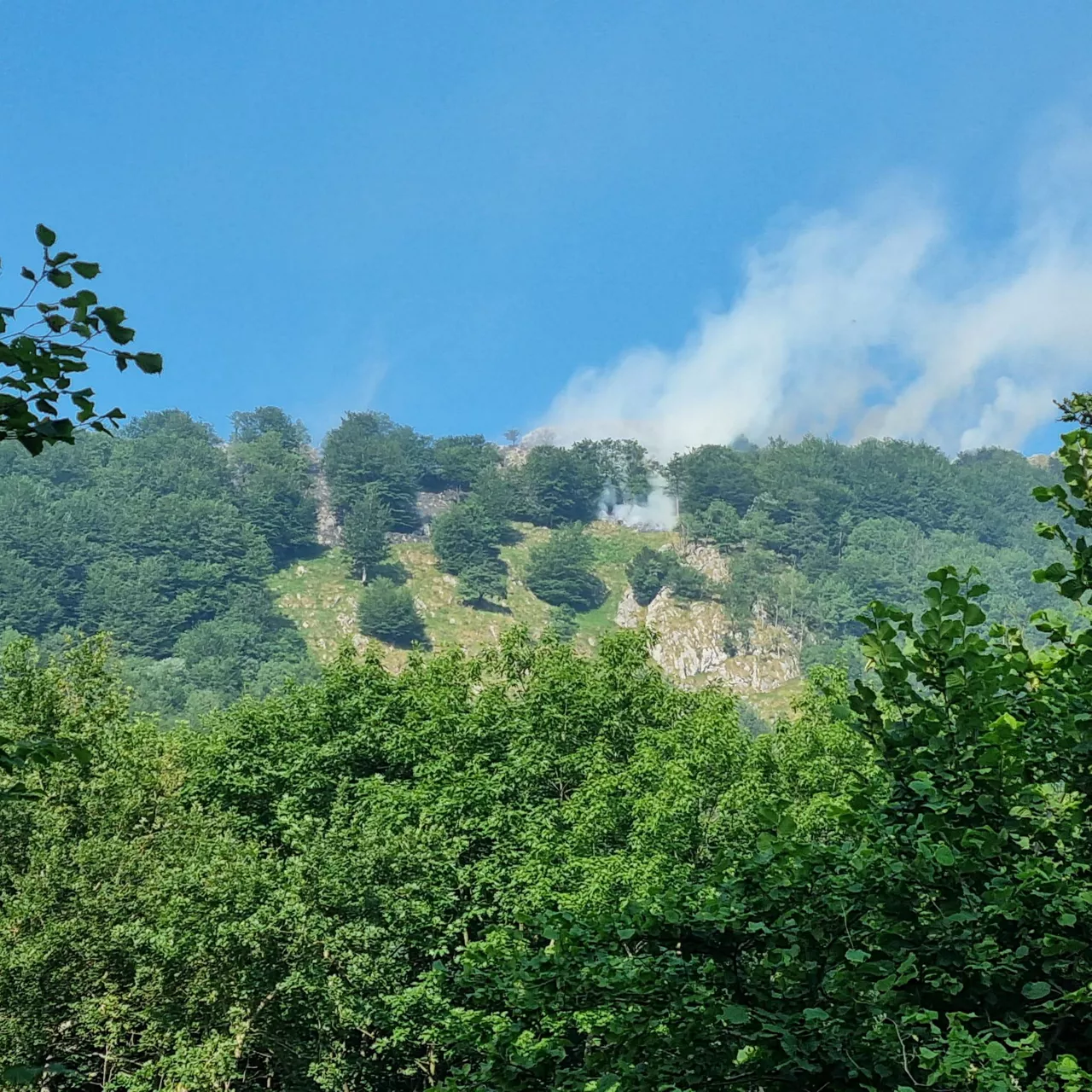 Fuente: Ayuntamientos de Zaldibia y Ataun