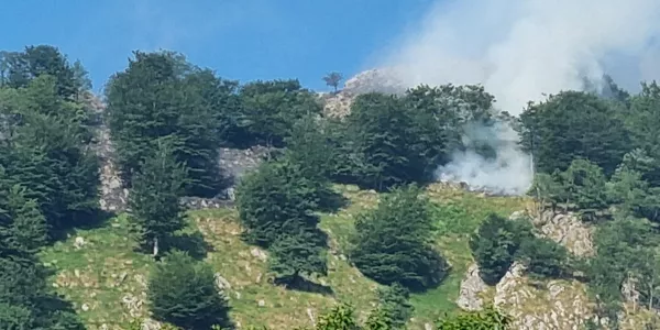 Fuente: Ayuntamientos de Zaldibia y Ataun
