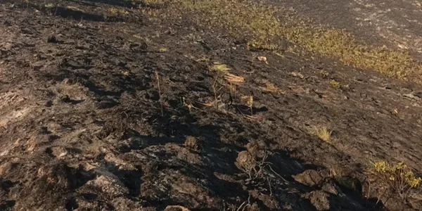 Fuente: Ayuntamientos de Zaldibia y Ataun