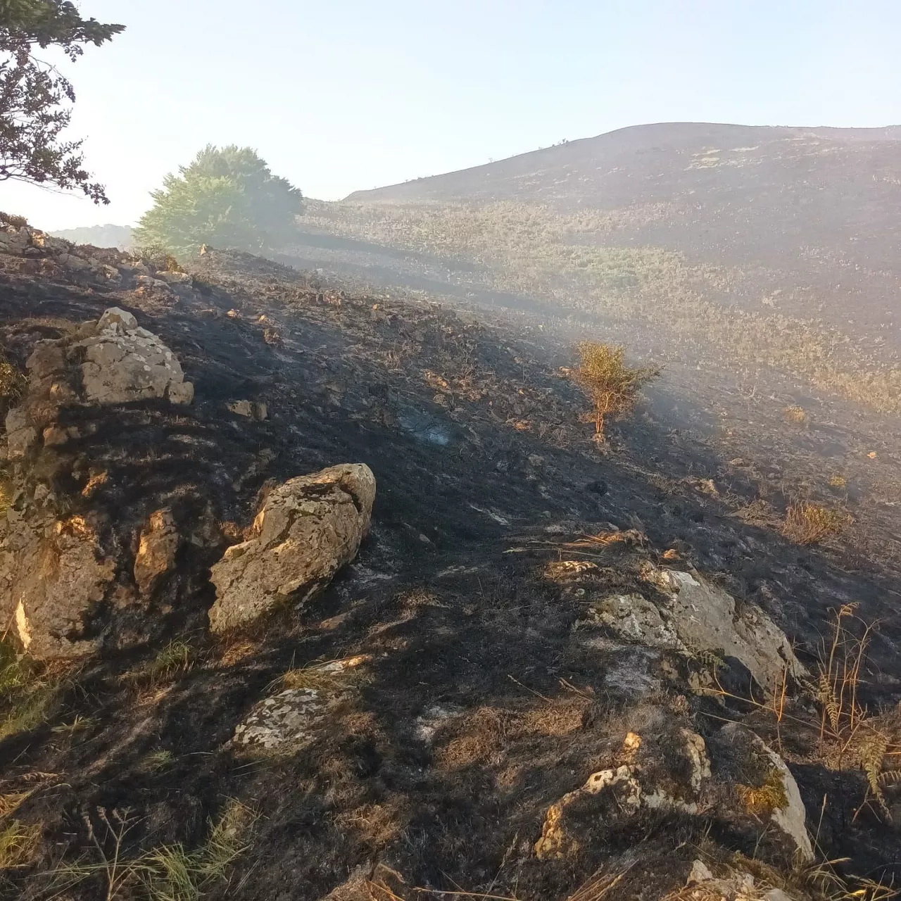 Fuente: Ayuntamientos de Zaldibia y Ataun
