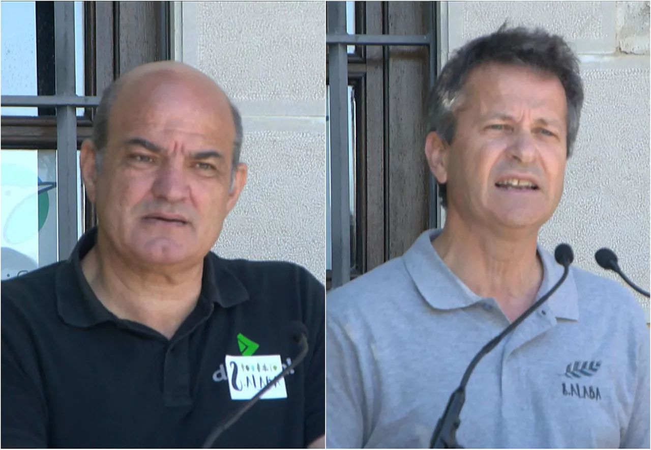 koldo tellitu jokin bildarratz