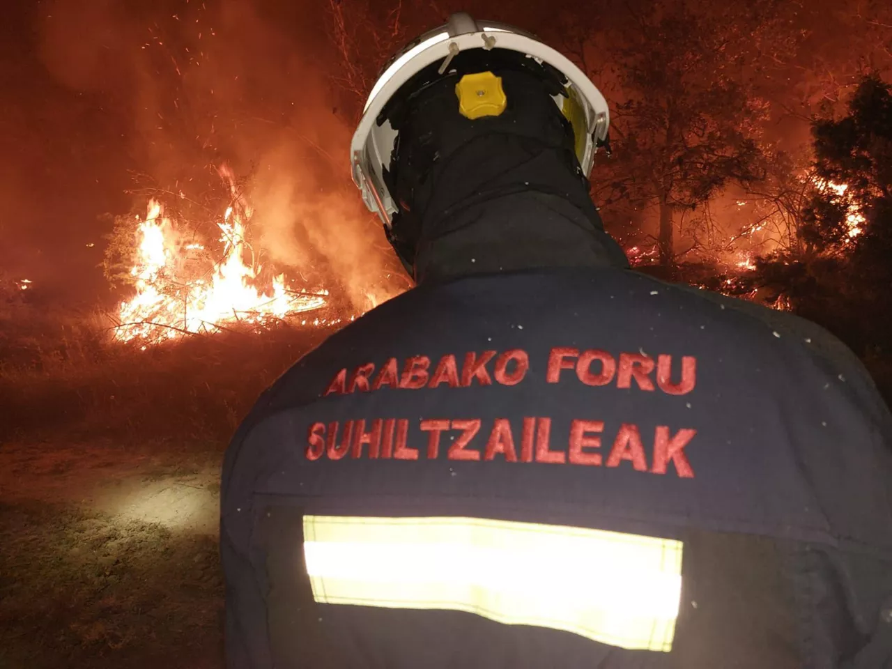 Bomberos de Álava, realizando labores de extinción en Navarra.