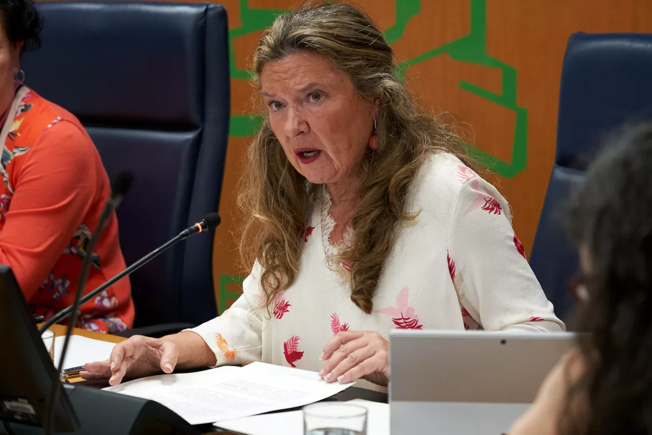 La consejera de Salud, Gotzone Sagardui, este lunes, en la Comisión de Salud del Parlamento Vasco