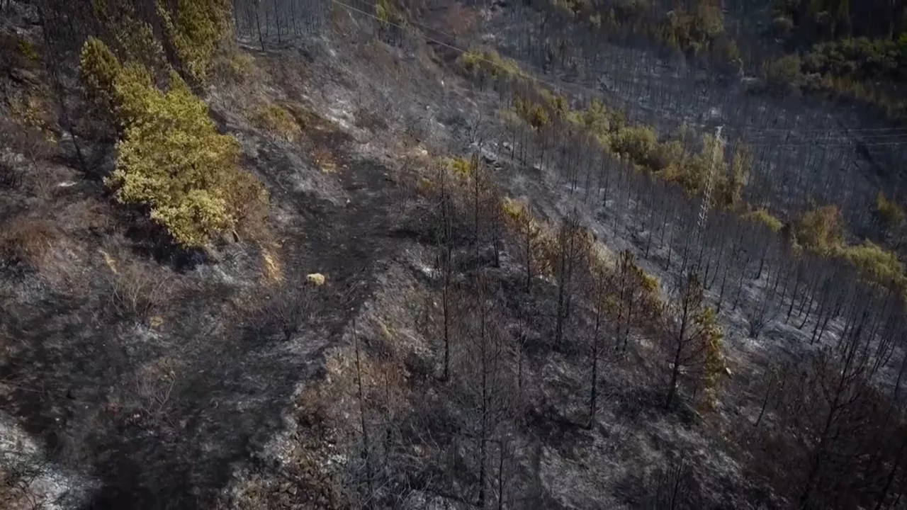 Una de las zonaafectadas por el fuego en Navarra