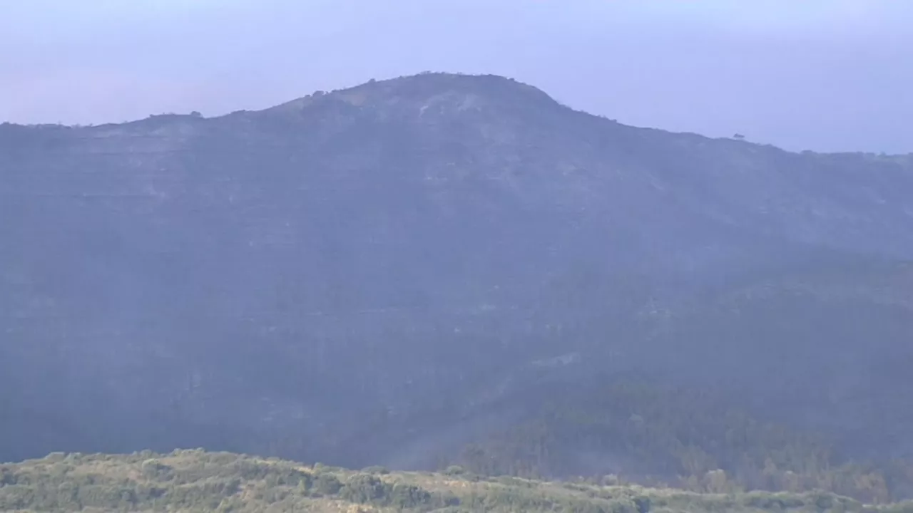 Galipentzuko sutea.