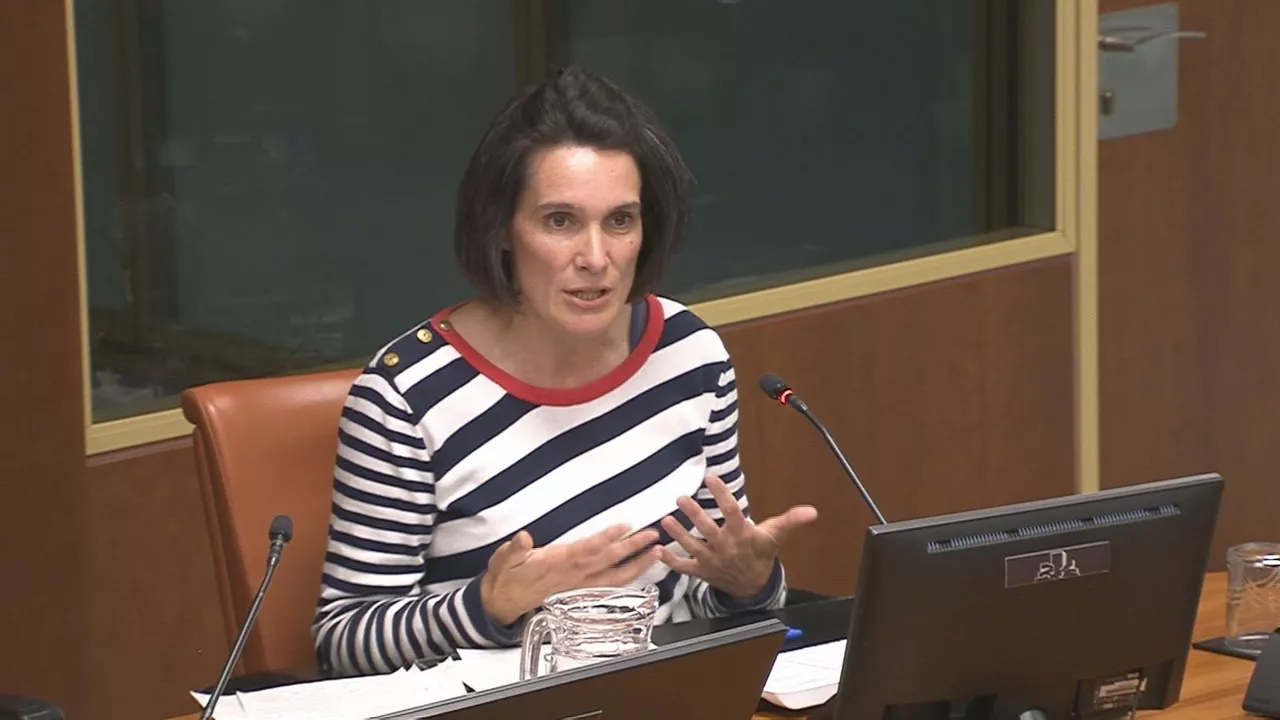 Oihana Goiriena. Imagen obtenida de un vídeo del Parlamento Vasco.
