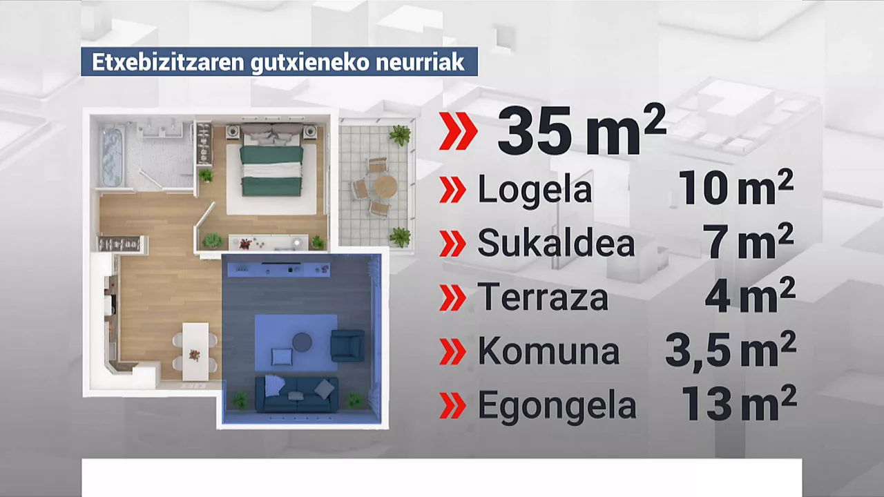 gutxienez 35 metro karratuko azalera erabilgarria izango du