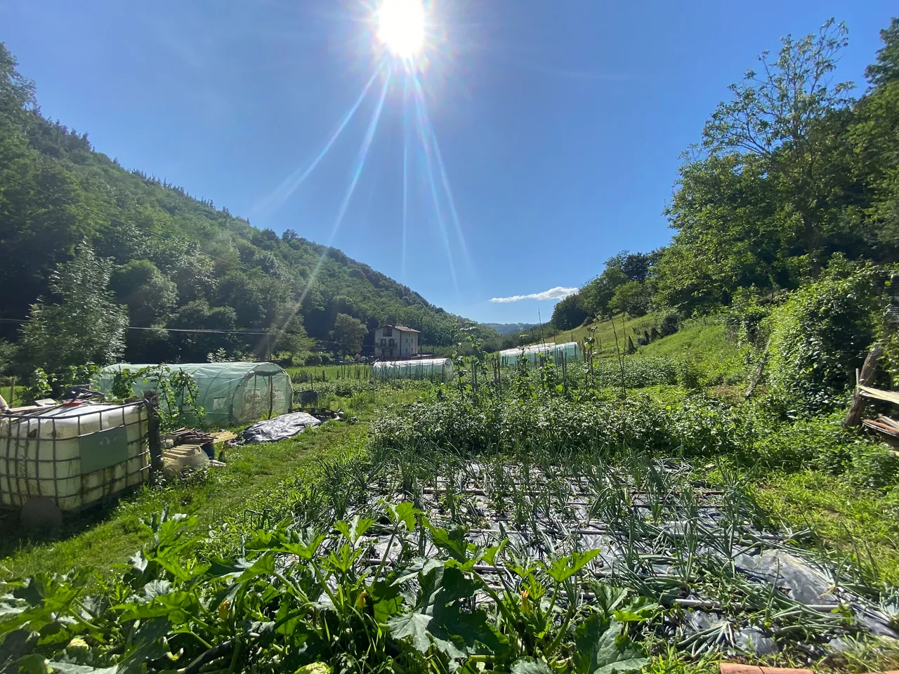 Bedaio (Gipuzkoa). Foto: Jabier Landa