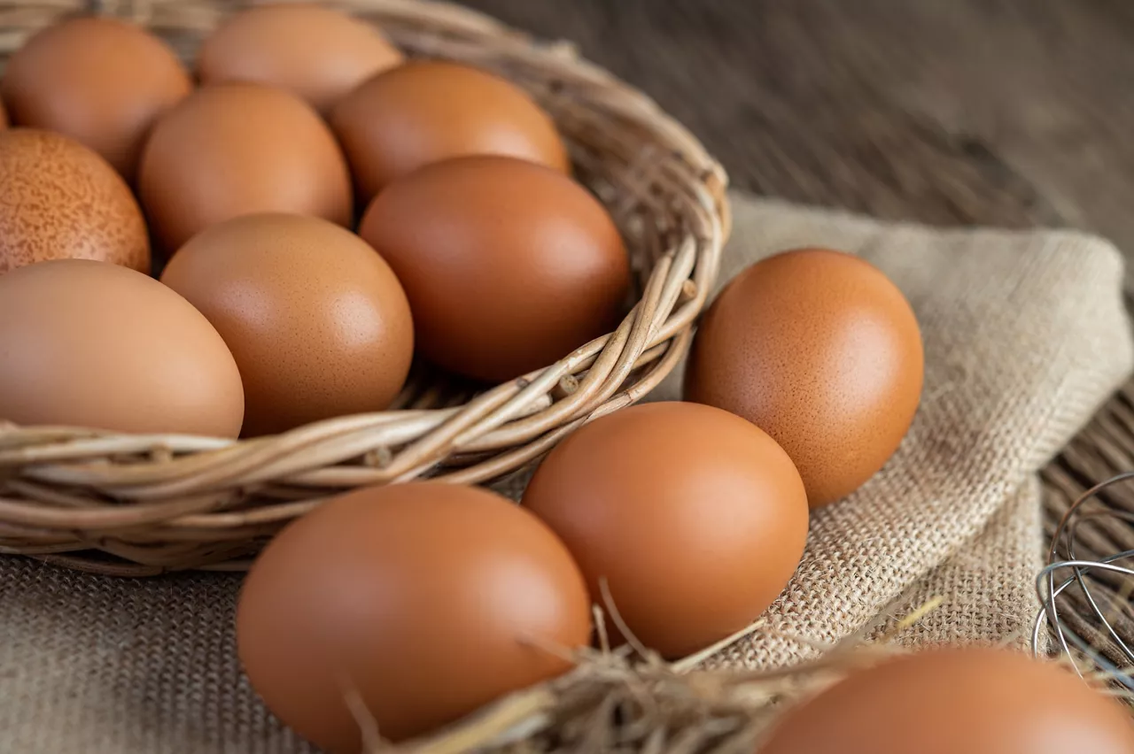 Huevos