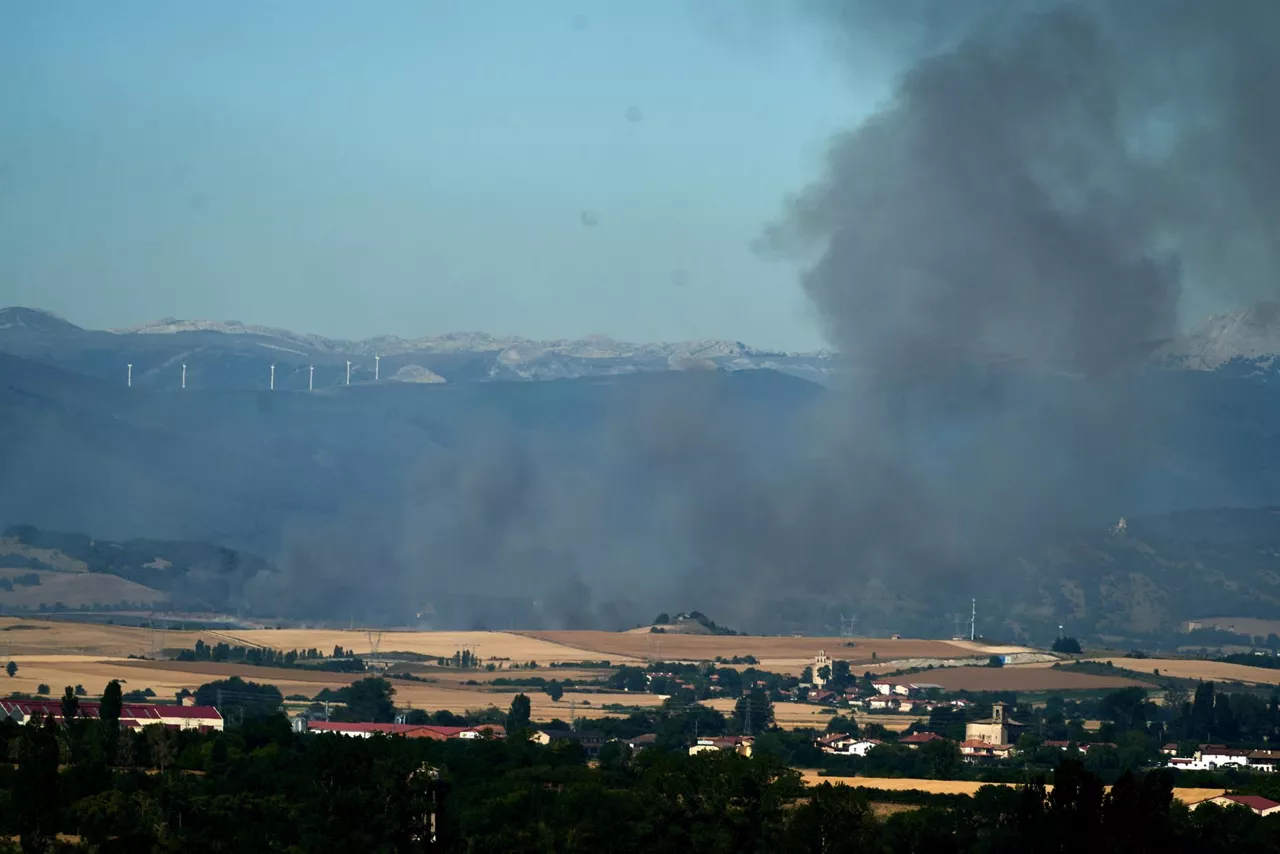 Vista del incendio de Garaio (Álava). Foto: EFE