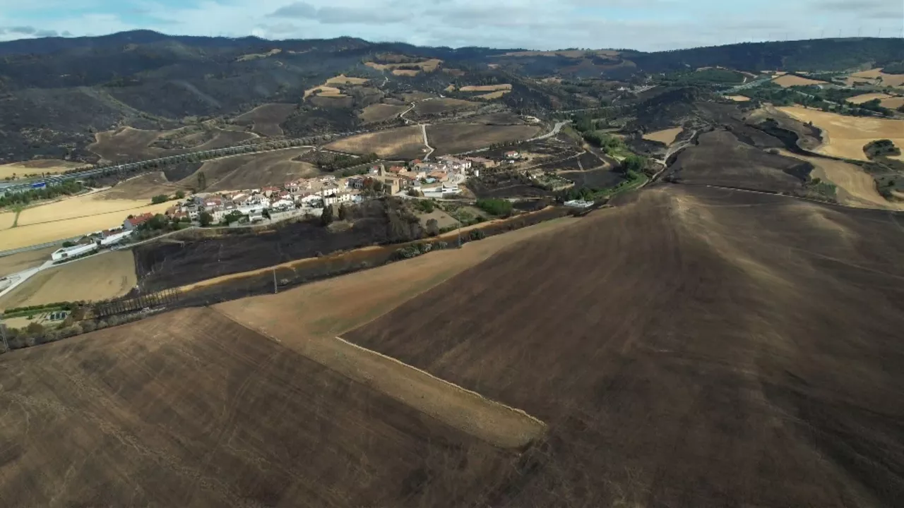 Imagen de una área quemada de Navarra tras los incendios de julio.