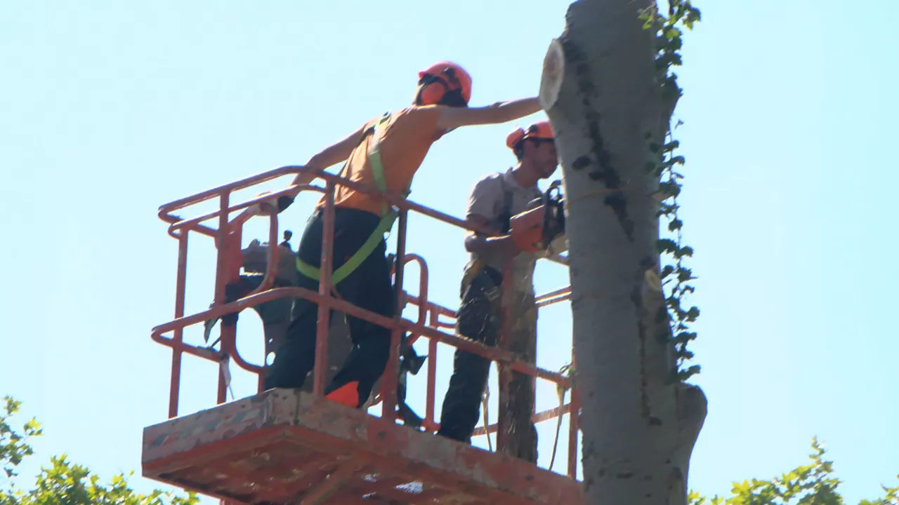 Trabajar al sol