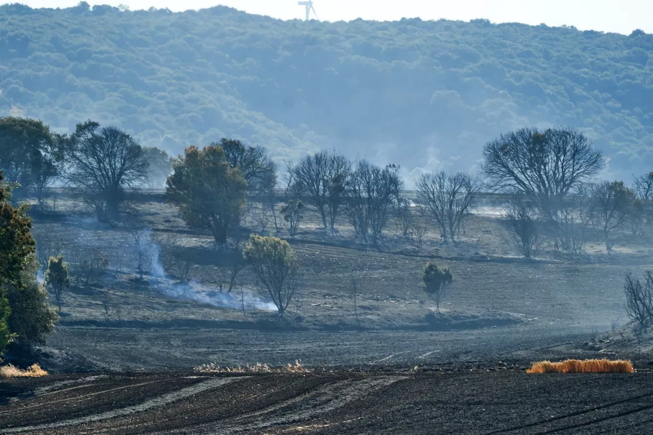 El incendio registrado en Mendoza (Vitoria-Gasteiz). Foto de archivo: EFE