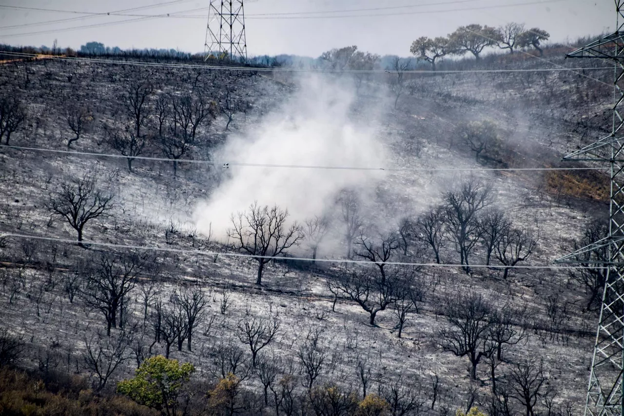 Imagen tomada este domingo en la zona próxima a Casas de Miravete y Deleitosa (Cáceres)