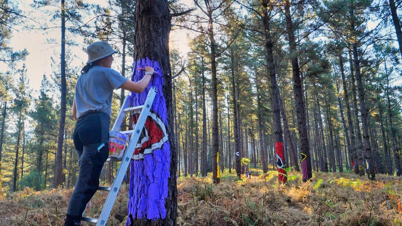 Omako Basoa berritzeko lanak 2022 Bosque de Oma