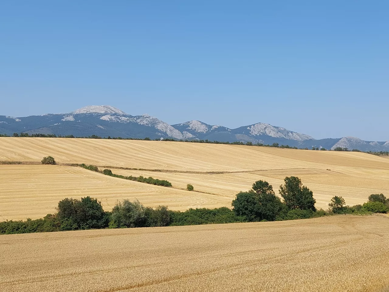 Donemiliaga (Araba).