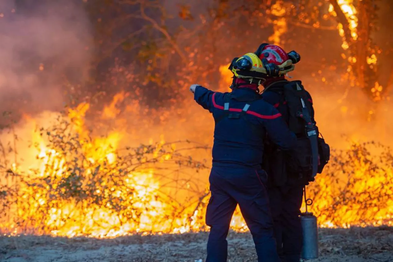 Bomberos se enfrentan a las llamas en Las Landas. EFE
