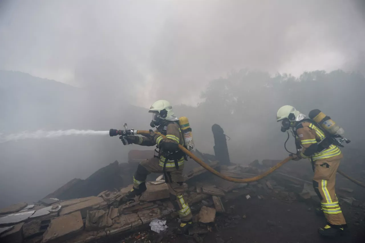 Incendio en Lemoa (Foto: EFE)
