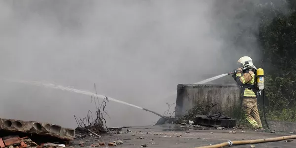 Incendio en Lemoa (Foto: EFE)