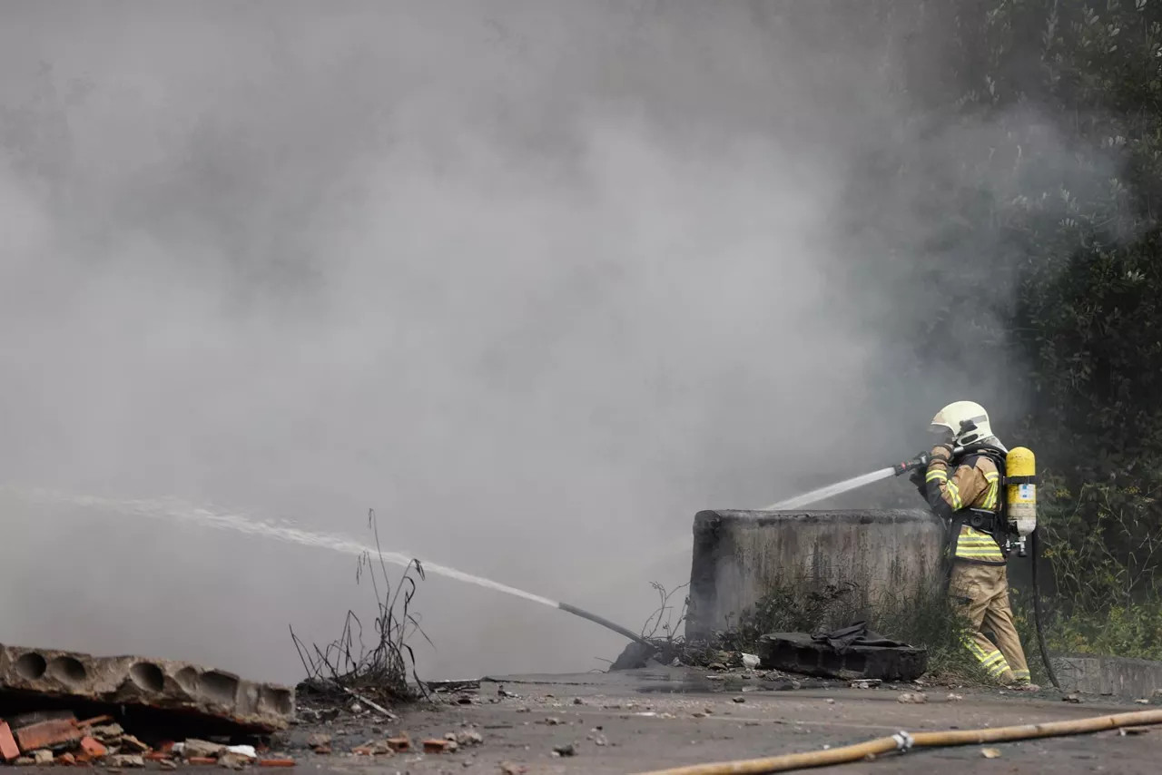 Incendio en Lemoa (Foto: EFE)