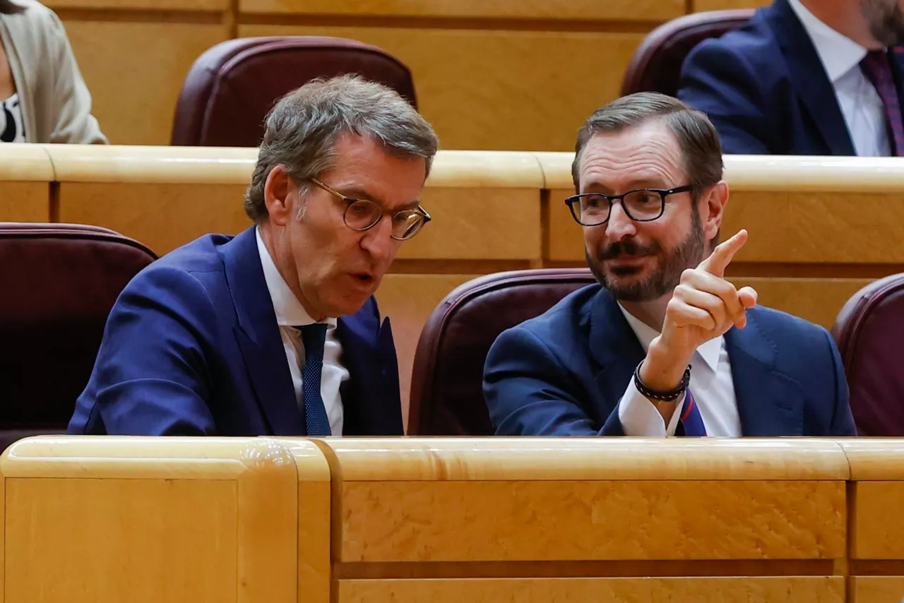 Feijóo en el momento de la votación. Foto: EFE.