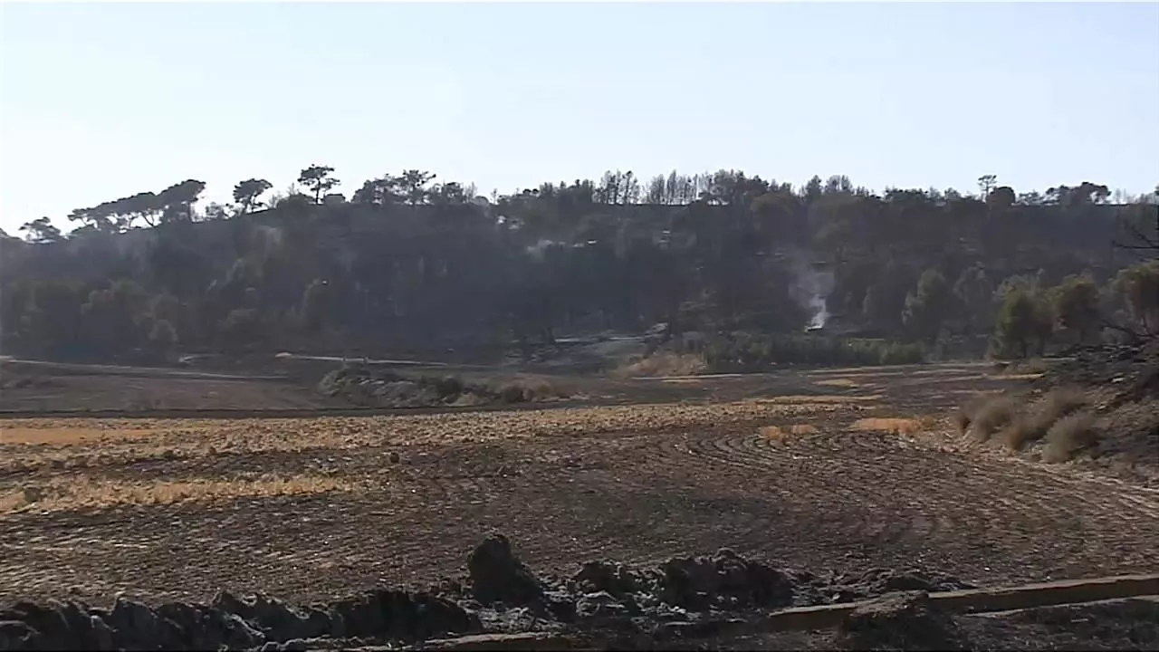 Incendio en Carcastillo (Navarra). Imagen: EITB Media