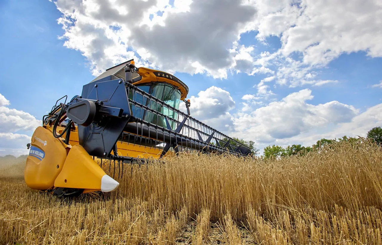 Campo de cereal en Jarkóv, Ucrania. Foto: EFE