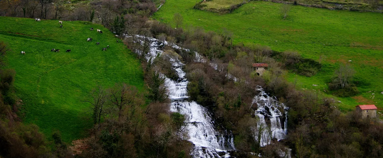 La Gandara ur-jauzia, Soban, Kantabrian. Argazkia: Alberto Zorrilla
