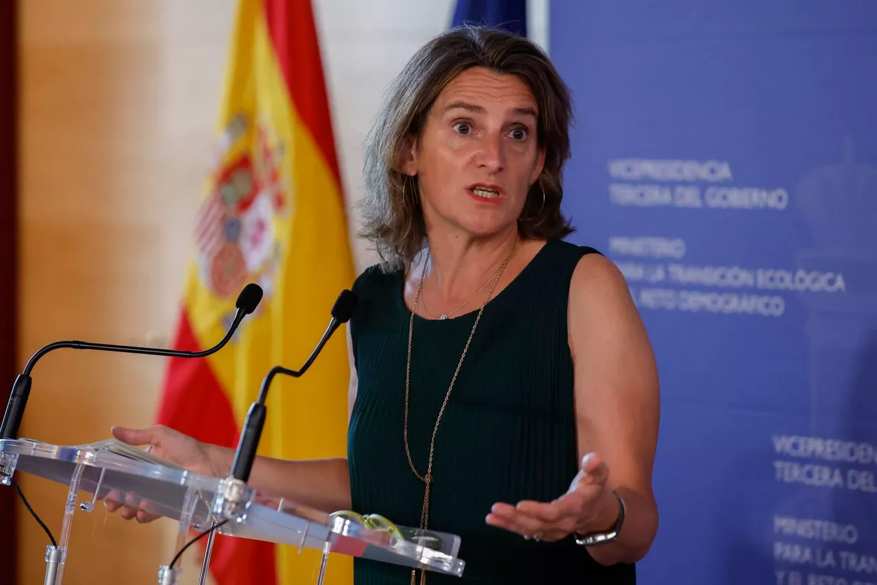 Teresa Ribera, en la rueda de prensa posterior a la reunión.