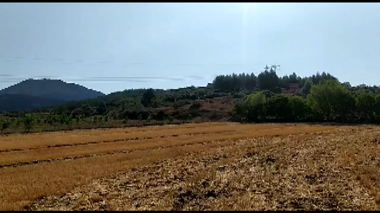 Suak kiskalitako eremua.