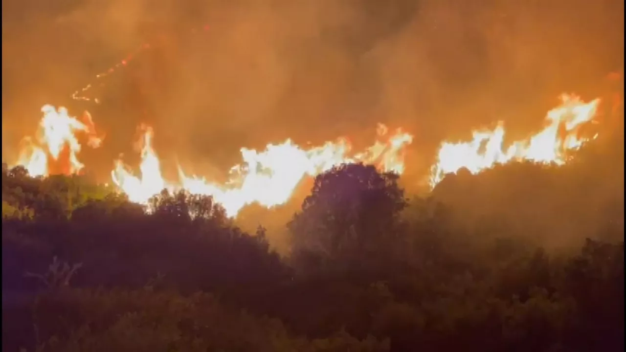 Incendio en Zambrana.