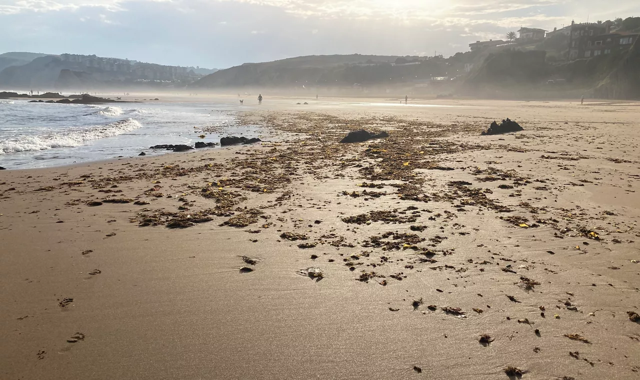 La playa de Sopela (Bizkaia), hoy.