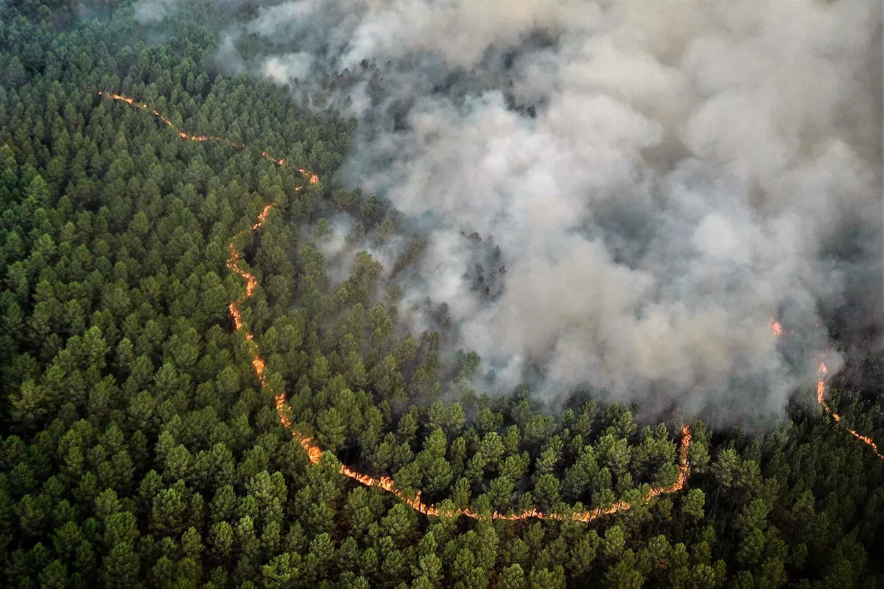 Incendio Francia, Frantzia suteak